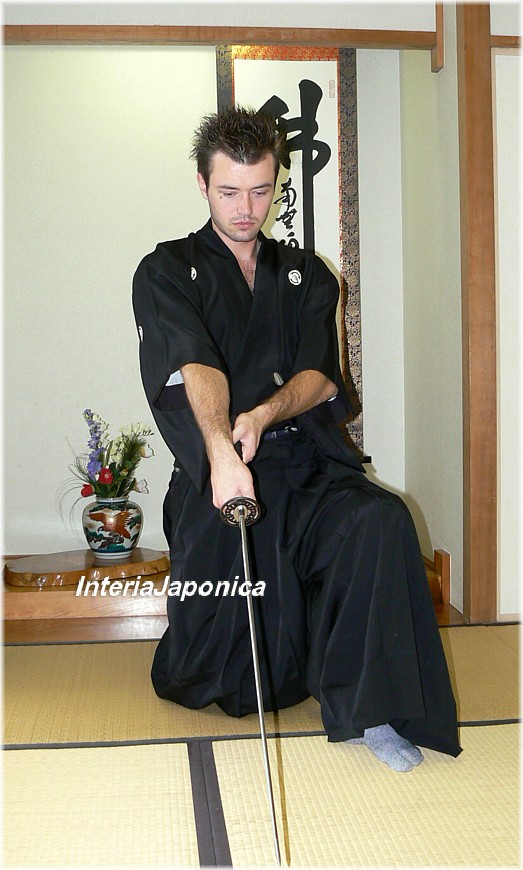 ������ � �������� ��������-�������� ������� �������. �����, �����, ������.