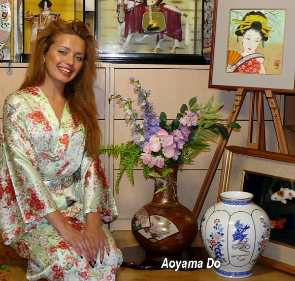 �������� ���������� ����, �������, �������� ��������� � ��������-�������� Aoyama Do