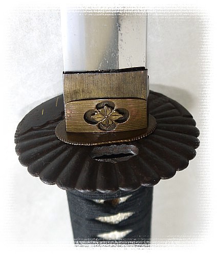 ������ ��������� ����