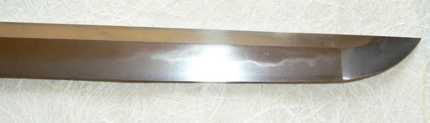 ������ ��������� ����