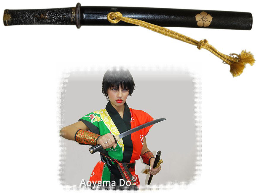 �������� ����������� ����, �����, ������, ���������