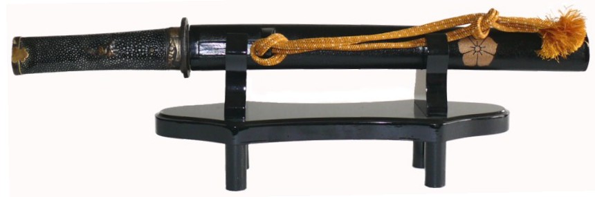 �������� ���� �����������