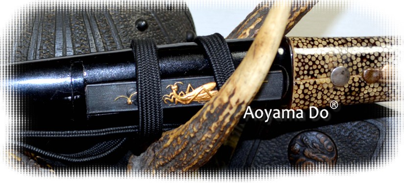 ��������  ���������� ����