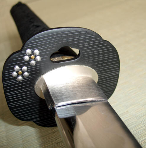 ������ Suruga.